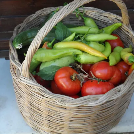 Appartamento Mountainescape- Sale *