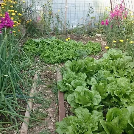 Appartamento Mountainescape- Sale