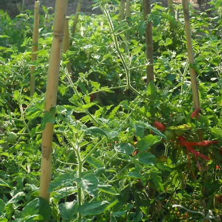 Appartamento Mountainescape- Sale