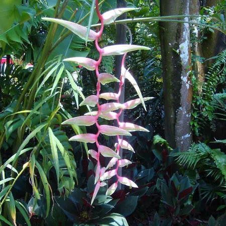 Mountainescape- Sale Appartamento