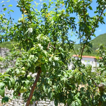 Mountainescape- Sale Appartamento