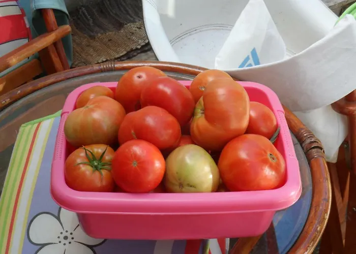 Mountainescape- Sale