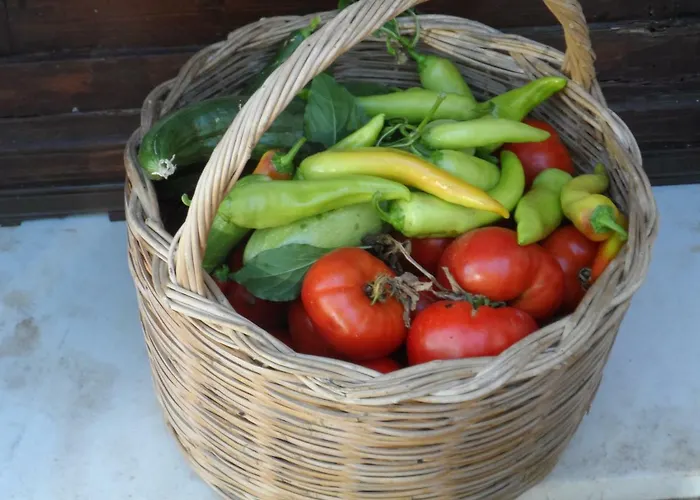 Lägenhet Mountainescape- Sale *