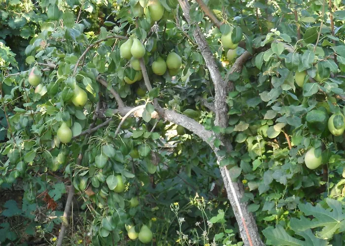 Mountainescape- Sale Apartment