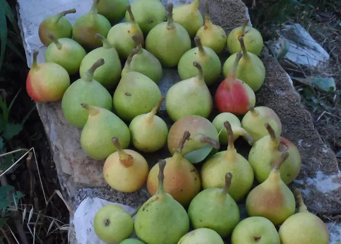 Apartamento Mountainescape- Sale *