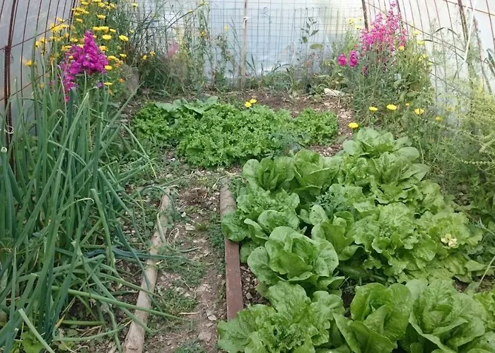 Apartment Mountainescape- Sale