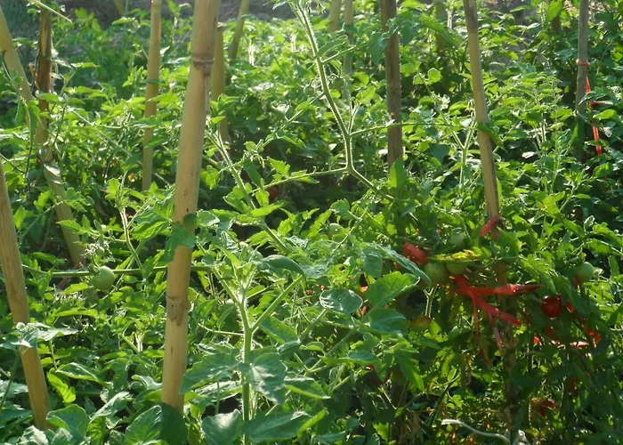 Lägenhet Mountainescape- Sale