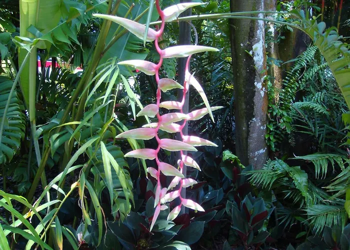 Mountainescape- Sale Apartment