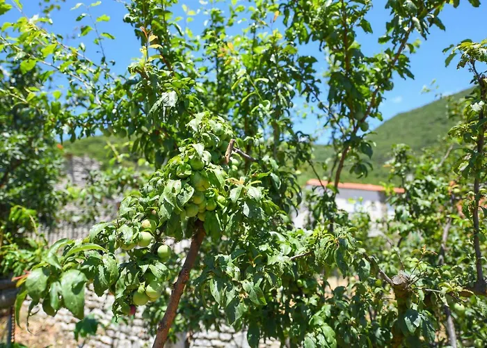 Mountainescape- Sale Appartement